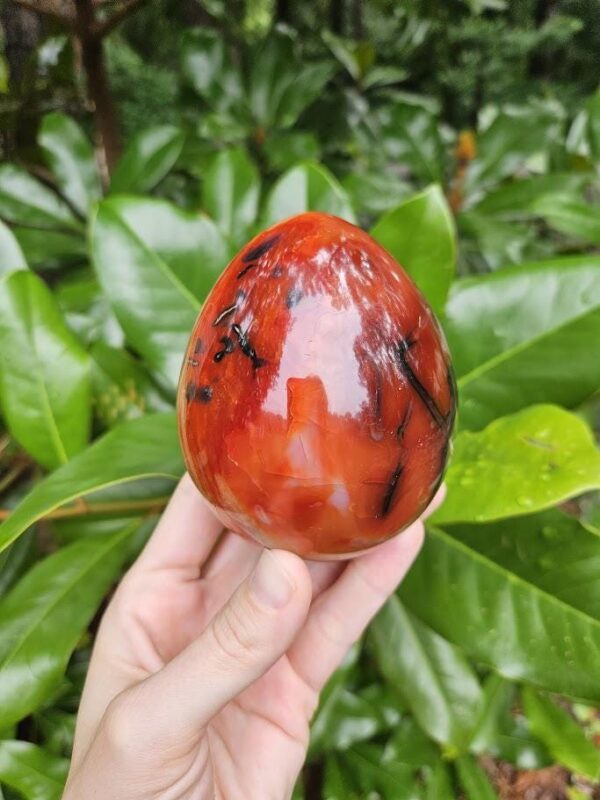 Polished Carnelian Egg: Sacral Chakra Crystal, Madagascar