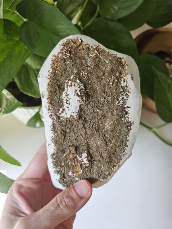 Quality White Chalcedony - Image 10