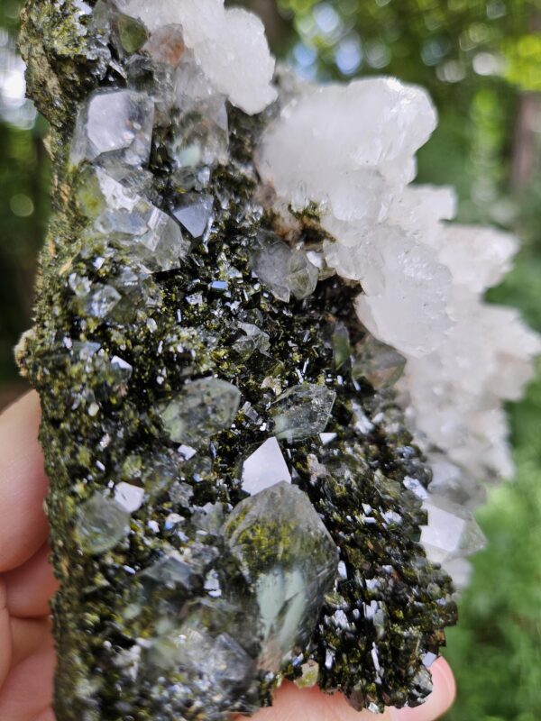 Quality Forest Quartz Crystal - Image 7