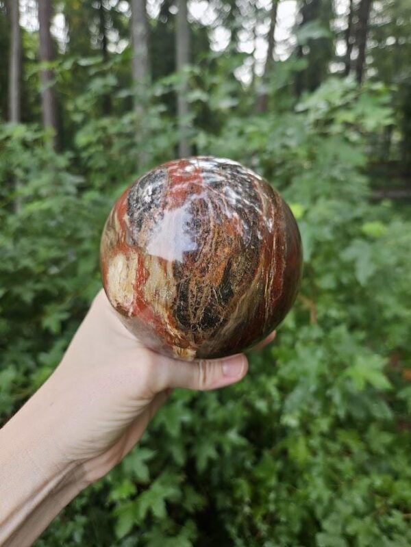 Polished Petrified Wood Sphere: Large Fossil Crystal Decor - Image 4