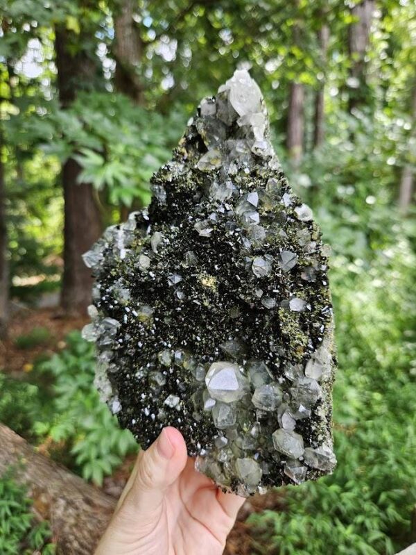 Wow! Quality Forest Quartz Crystal - Image 3