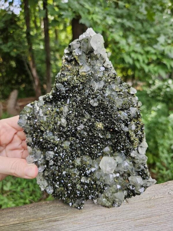 Wow! Quality Forest Quartz Crystal - Image 4