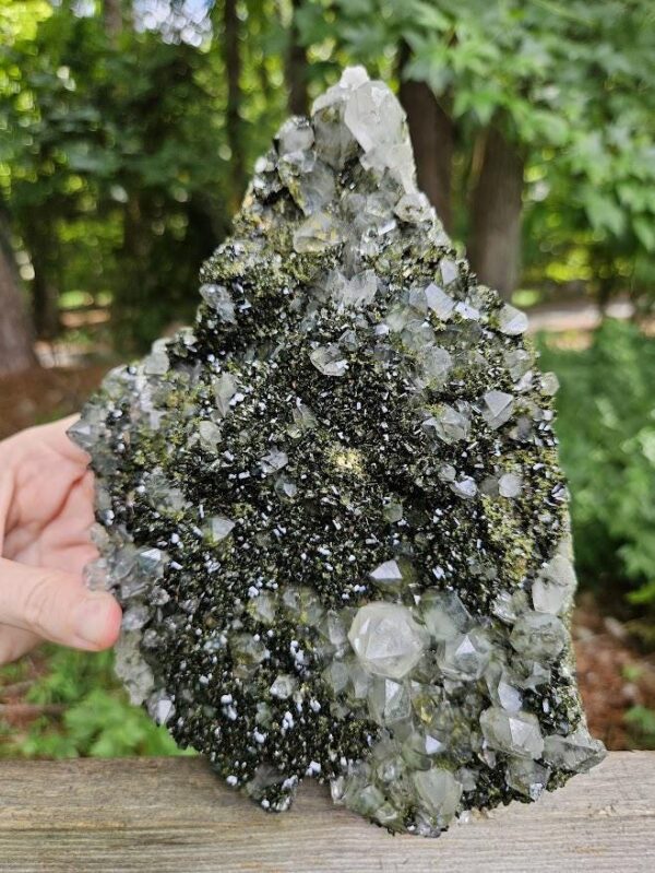Wow! Quality Forest Quartz Crystal - Image 6