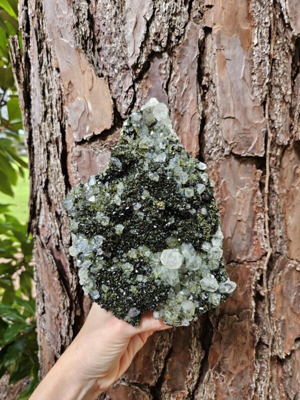 Wow! Quality Forest Quartz Crystal - Image 7