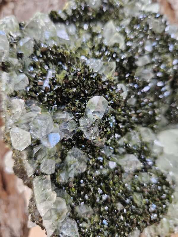 Wow! Quality Forest Quartz Crystal - Image 2