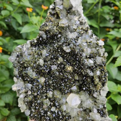 Wow! Quality Forest Quartz Crystal