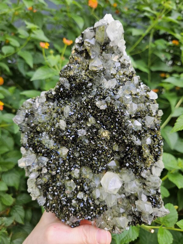 Wow! Quality Forest Quartz Crystal