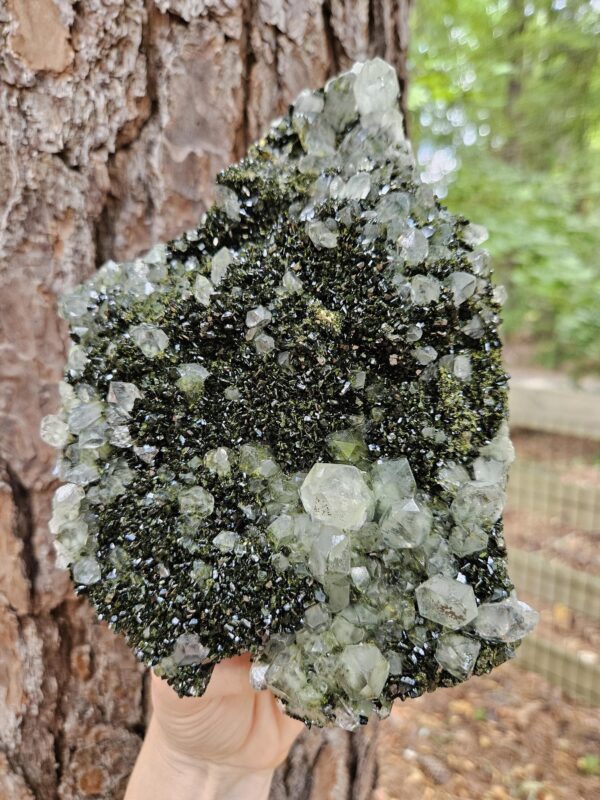 Wow! Quality Forest Quartz Crystal - Image 9