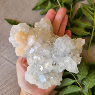 Large Apophyllite Crystal Cluster with Peach Stilbite: Quality Indian Crystals