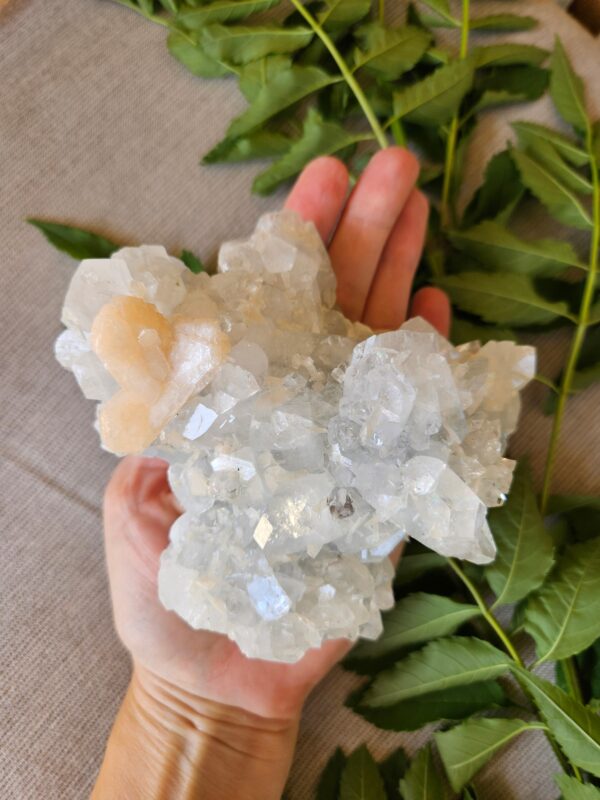 Large Apophyllite Crystal Cluster with Peach Stilbite: Quality Indian Crystals