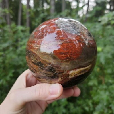 Polished Petrified Wood Sphere: Large Fossil Crystal Decor