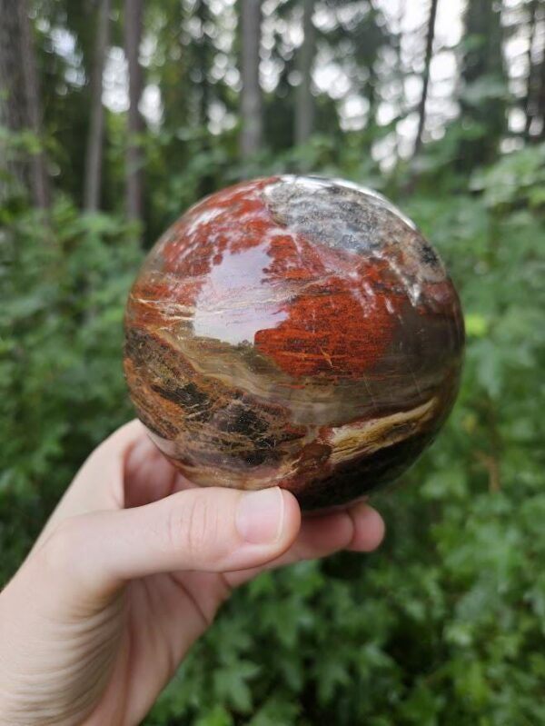 Polished Petrified Wood Sphere: Large Fossil Crystal Decor