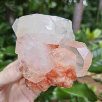 Quality Peach Stilbite and Apophyllite Cluster