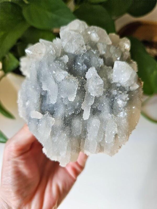 Blue Chalcedony Apophyllite Cluster: Raw Crystal from India, Quality Crystals - Image 8