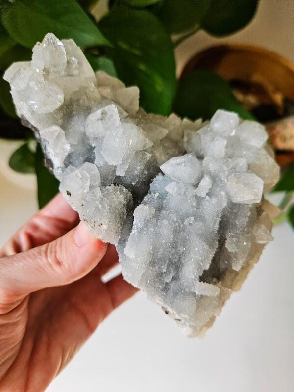 Blue Chalcedony Apophyllite Cluster: Raw Crystal from India, Quality Crystals - Image 9