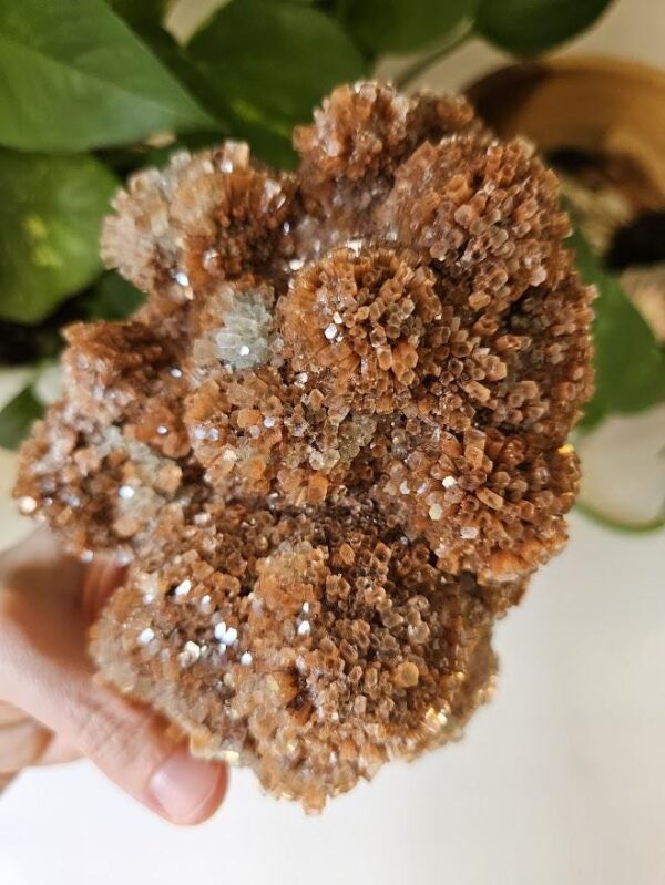 Large Raw Red Aragonite Crystal Cluster: Moroccan Home Decor - Image 5