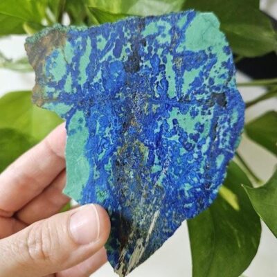 Polished Azurite and Malachite Slab: Blue and Green Crystal Home Decor, Namibia