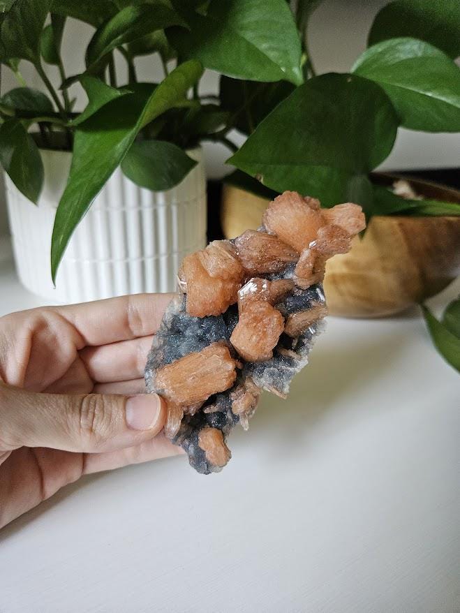 Quality Blue Chalcedony Peach Stilbite Crystal: Natural Crystal Cluster from India - Image 10