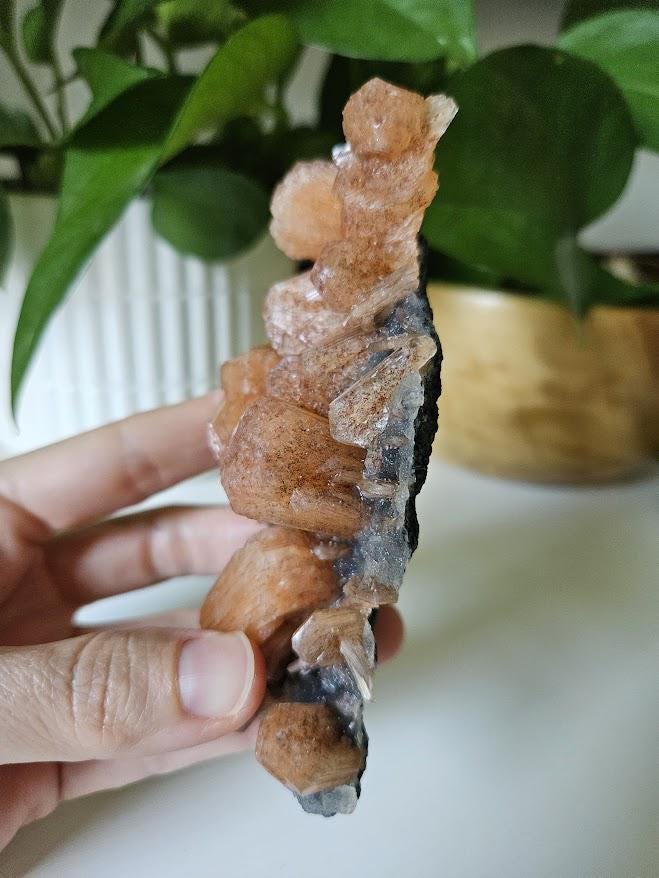 Quality Blue Chalcedony Peach Stilbite Crystal: Natural Crystal Cluster from India - Image 5