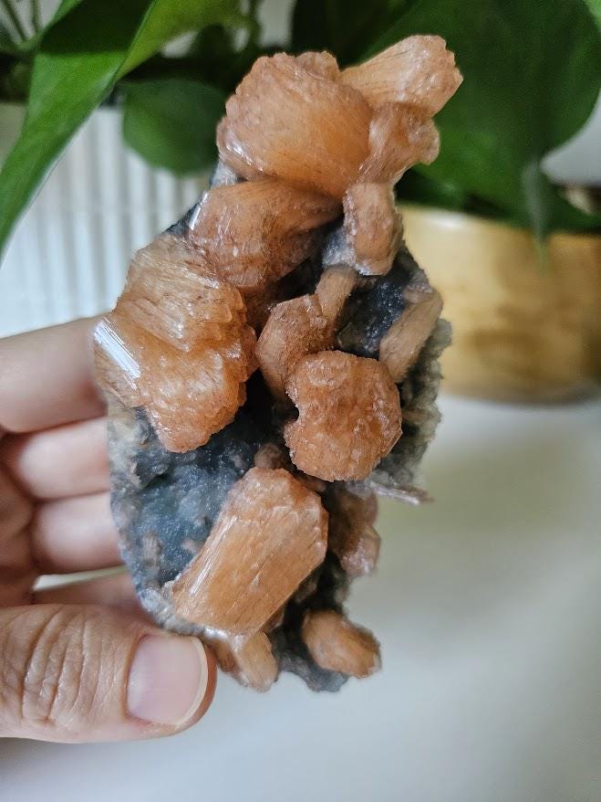 Quality Blue Chalcedony Peach Stilbite Crystal: Natural Crystal Cluster from India - Image 7