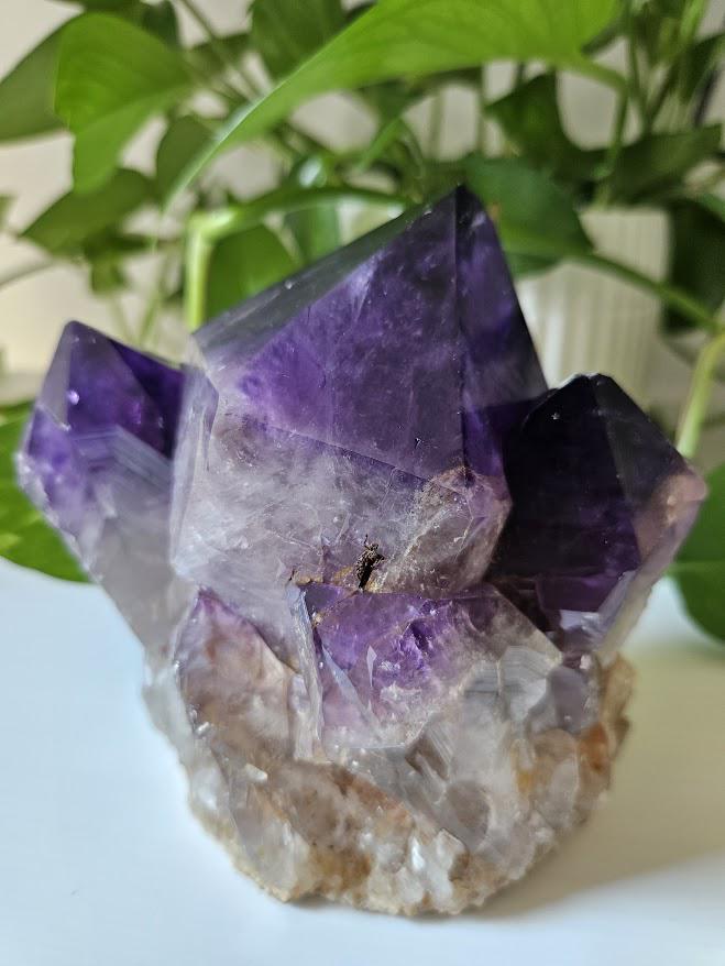 Quality Congo Amethyst Cluster, 2.8 LB: Purple Crystal Home Decor, Meditation - Image 4