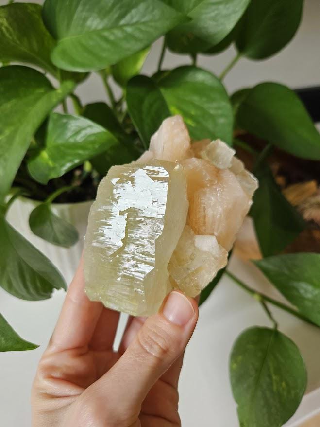 Quality Green Apophyllite and Peach Stilbite Cluster: Natural Crystal Specimens, India - Image 5