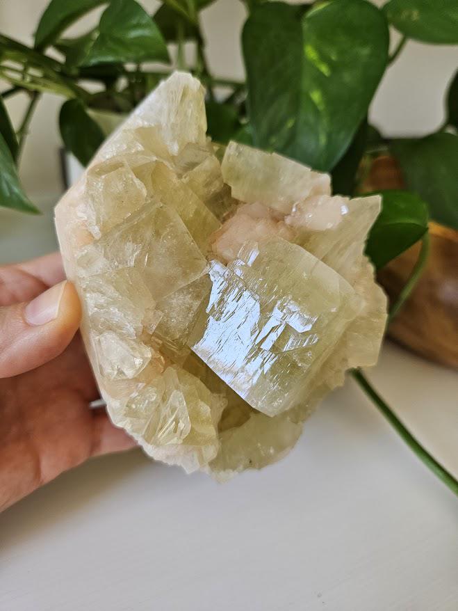 Green Apophyllite and Peach Stilbite Cluster: Natural Crystal Specimens, India - Image 5