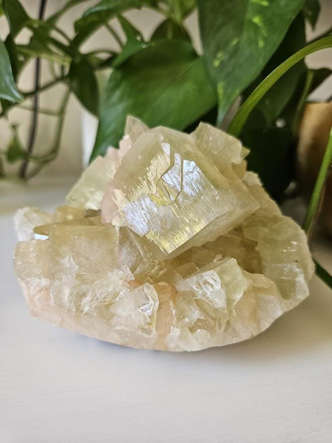 Green Apophyllite and Peach Stilbite Cluster: Natural Crystal Specimens, India - Image 8