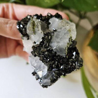Quality Forest Quartz Cluster: Turkish Epidote and Clear Quartz Crystal
