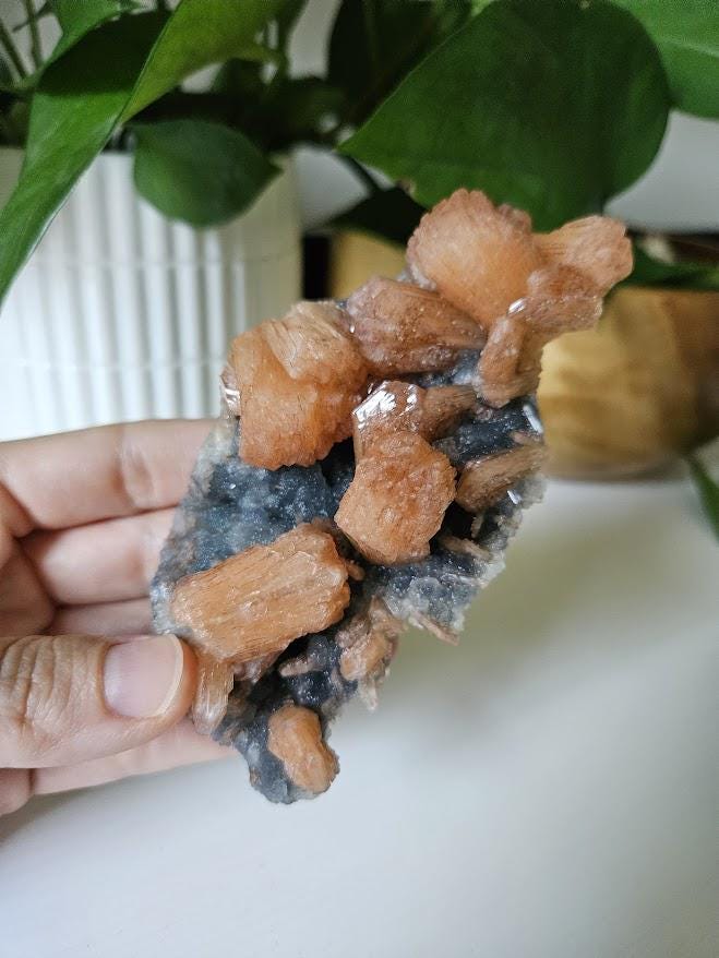 Quality Blue Chalcedony Peach Stilbite Crystal: Natural Crystal Cluster from India - Image 9
