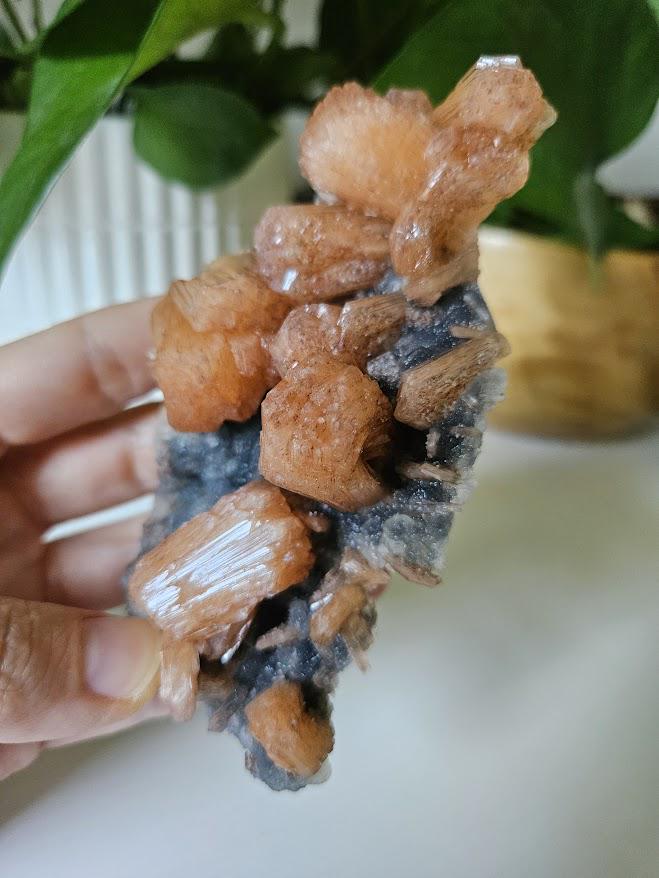 Quality Blue Chalcedony Peach Stilbite Crystal: Natural Crystal Cluster from India - Image 6