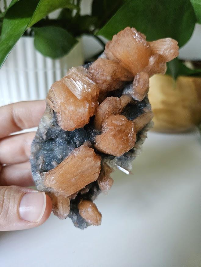 Quality Blue Chalcedony Peach Stilbite Crystal: Natural Crystal Cluster from India - Image 8