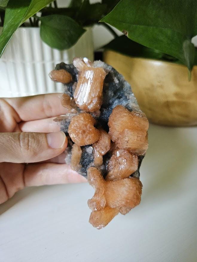 Quality Blue Chalcedony Peach Stilbite Crystal: Natural Crystal Cluster from India - Image 2