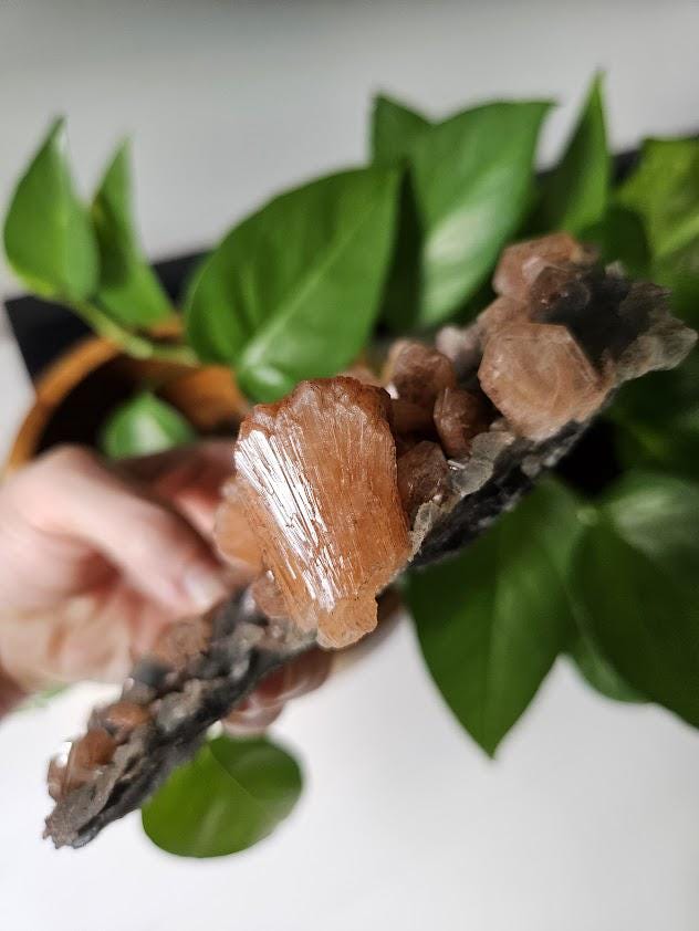 Quality Blue Chalcedony Peach Stilbite Crystal: Natural Crystal Cluster from India - Image 4