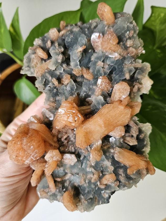 Quality Blue Chalcedony Peach Stilbite Crystal: Natural Crystal Cluster from India - Image 6