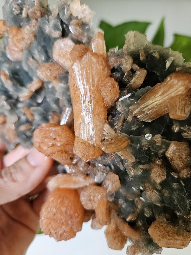 Quality Blue Chalcedony Peach Stilbite Crystal: Natural Crystal Cluster from India - Image 7