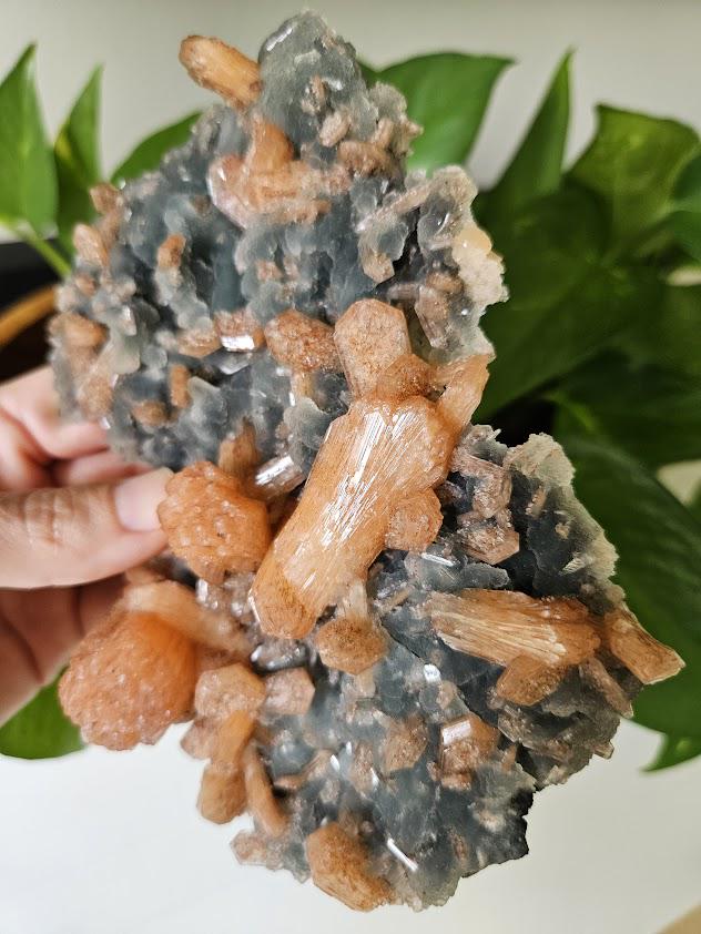 Quality Blue Chalcedony Peach Stilbite Crystal: Natural Crystal Cluster from India - Image 2