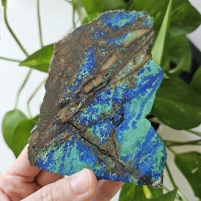 Polished Azurite and Malachite Slab: Blue and Green Crystal Home Decor, Namibia