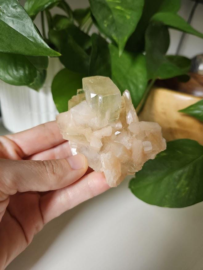Quality Green Apophyllite and Peach Stilbite Cluster: Natural Crystal Specimens, India - Image 10