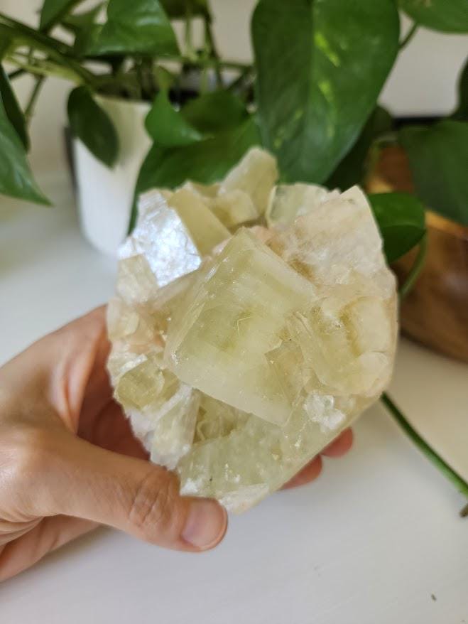 Green Apophyllite and Peach Stilbite Cluster: Natural Crystal Specimens, India - Image 4