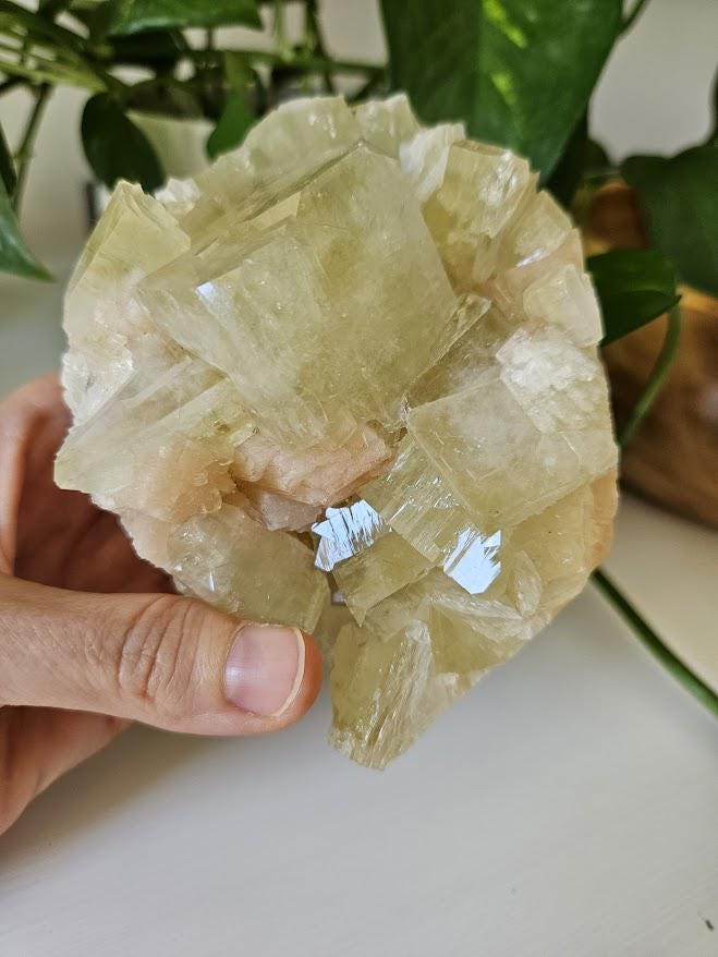 Green Apophyllite and Peach Stilbite Cluster: Natural Crystal Specimens, India - Image 7