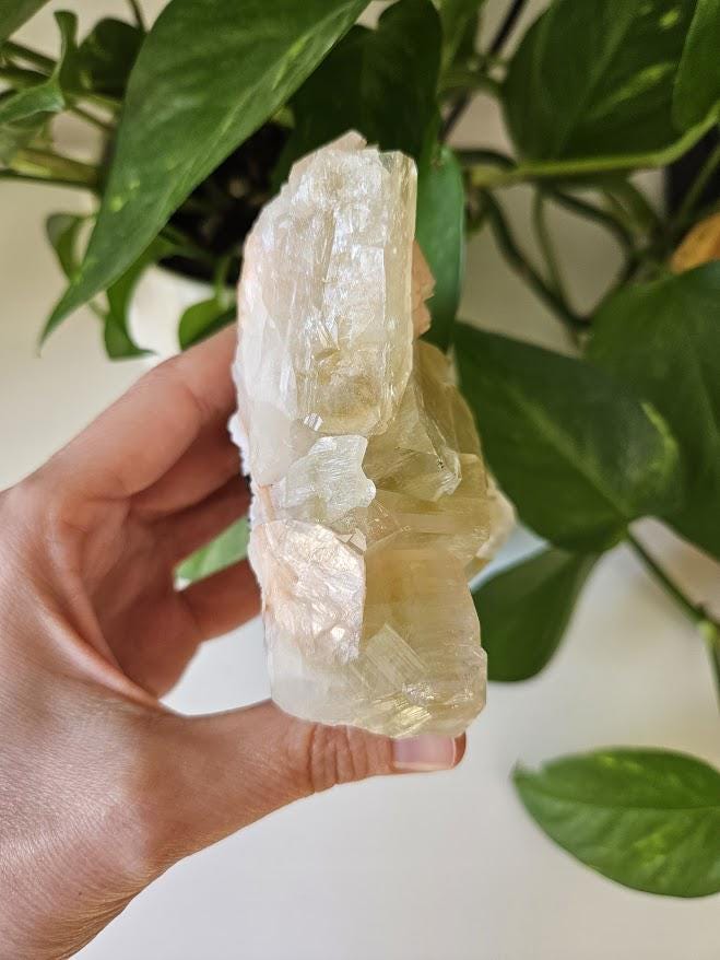 Quality Green Apophyllite and Peach Stilbite Cluster: Natural Crystal Specimens, India - Image 9