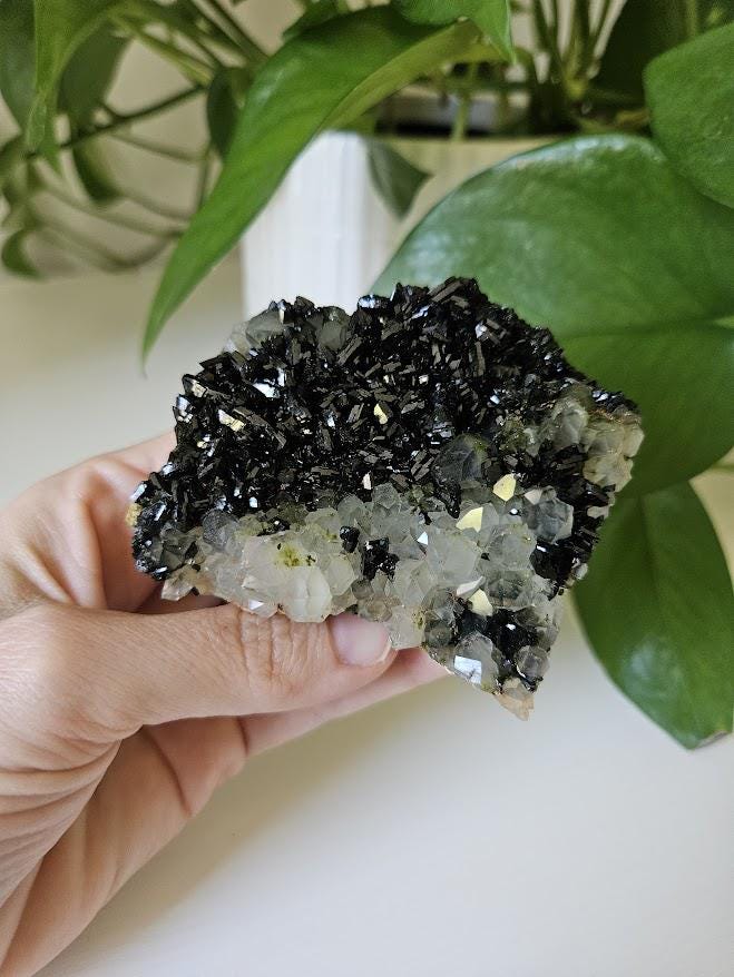 Extra Quality Forest Quartz Crystal: Epidote and Clear Quartz Cluster - Turkey - Image 4