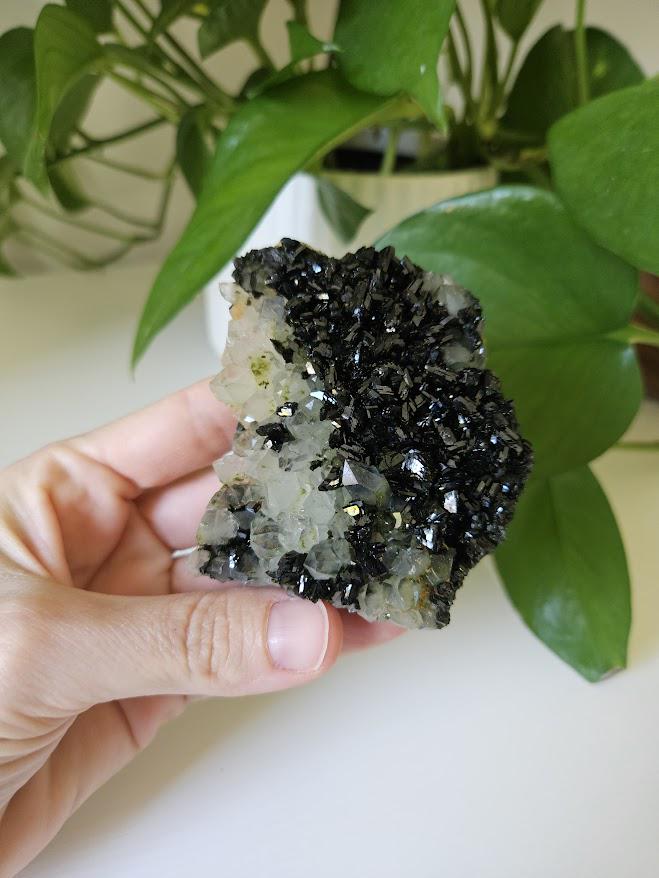 Extra Quality Forest Quartz Crystal: Epidote and Clear Quartz Cluster - Turkey - Image 9