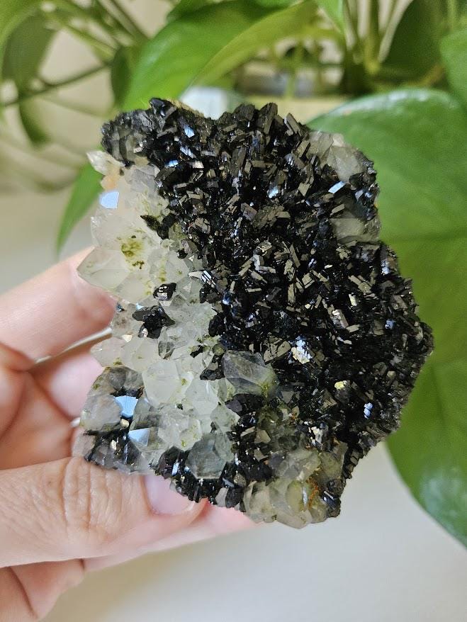 Extra Quality Forest Quartz Crystal: Epidote and Clear Quartz Cluster - Turkey