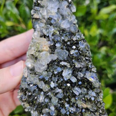 Raw Forest Quartz Crystal: Epidote and Clear Quartz Cluster, Turkey