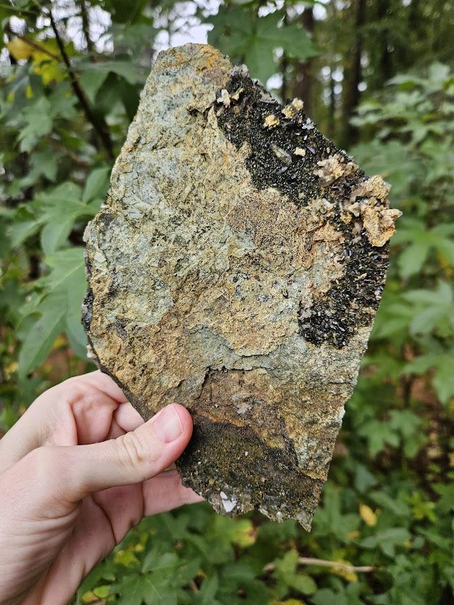 Large Forest Quartz Cluster: Turkish Epidote and Quartz Crystal - Image 7