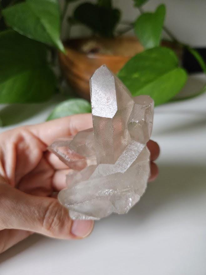 Phantom, Natural Smoky Quartz Cluster: Bahia, Brazil Crystal - Image 2