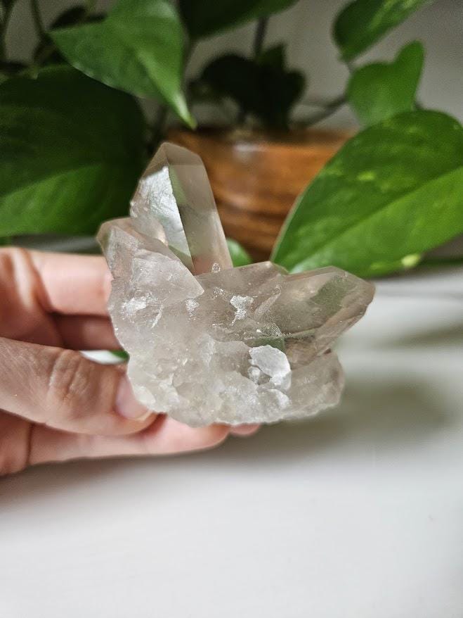 Phantom, Natural Smoky Quartz Cluster: Bahia, Brazil Crystal - Image 9