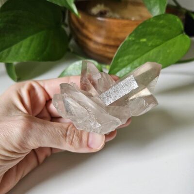 Phantom, Natural Smoky Quartz Cluster: Bahia, Brazil Crystal